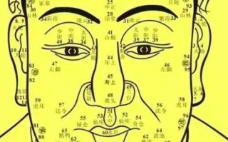 我花了29.9测了个AI面相，结果差点没被笑死，这玩意儿真的靠谱？