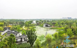 江苏ai智播代理电话靠谱吗？实测3个月的血泪经验+避坑指南