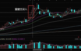 从“看热闹”到“真金白银”：2026年AI代理机器人股票还能不能追？我扒了扒里面的门道