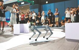 合肥街头那帮“铁疙瘩”成精了！我跟你说说找对“中间人”有多重要