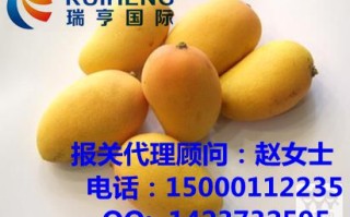 找个靠谱的芒果AI代理咋就这么难？我跑了大半个市场，终于摸着门道了